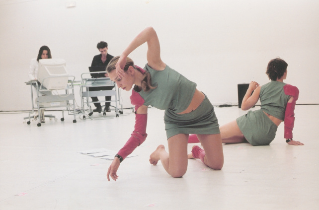 L'écarlate, by Myriam Gourfink & Kasper Tœplitz, Ircam 2001