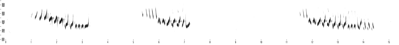 Chant d'un Pouillot Fitis (3 strophes)